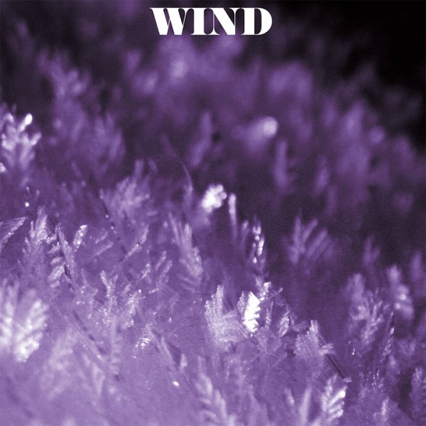 wind